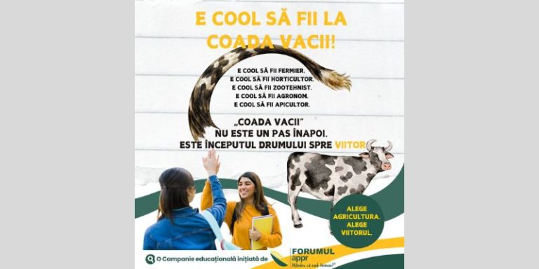 „E cool să fii la coada vacii”: România rescrie mitul agriculturii